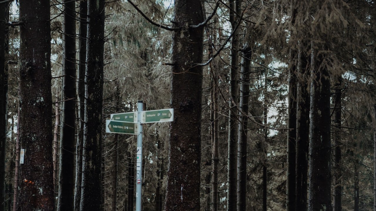 What Are The Benefits Of Compostable Doggie Bags And Where To Get Them?