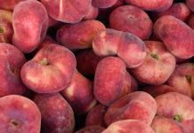 Stylish Peach Lift Leggings; Meaning, Characteristics, Where To Wear And Buy Them