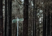 What Are The Benefits Of Compostable Doggie Bags And Where To Get Them?